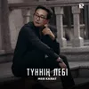 About Түннің Лебі Song