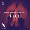 About Feel Song