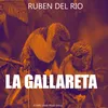 La Gallareta