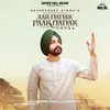 Aar Nanak Paar Nanak (Cover Song)