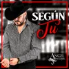 About Según Tu Song