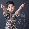 About 顶点 Song