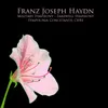 Sinfonia in F-Sharp Minor, Op. 45 "Farewell": II. Andante