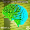 About Trip My Brain Song