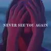 About Never See You Again Song