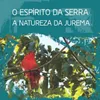 Ser Sereno para a Sereia