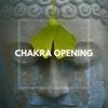 Open Your Chakras