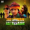 About Jai Jawan Jai Kisaan Song