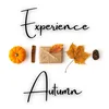 88 Autumn Experiences