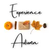 Autumnal Accent