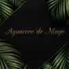 About Aguacero de Mayo Song