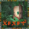 About Xexet Live Song