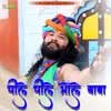 About Pile Pile Bhole Baba Song