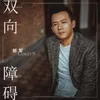 About 双向障碍 Song