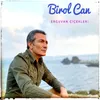 About Erguvan Çiçekleri Song