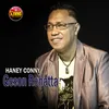 About Haney Conny Song