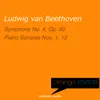 Piano Sonata No. 1 in F Minor, Op. 2 No. 1: IV. Prestissimo