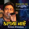 About Bhagora Nai Song