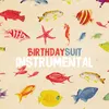 Birthday Suit Instrumental