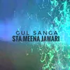 About Sta Meena Jawari Song