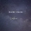 About Zaidi Zaidi Song