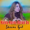 About Narey Narey Baran De Song