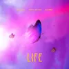 About Life Song