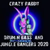 Cops Dont Like Me DJ Purple Rabbit Remix