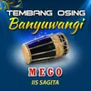 About Mego Song