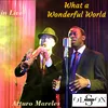 About What a Wonderful World In Live Song