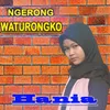 About Ngerong Waturongko Song