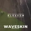 Blossom Alex Man Remix