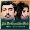 About Jadu Mar Wesan Main Dhola Song