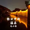 About 你口中的温柔 Song