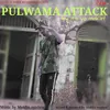 About Pulwama Attack Song