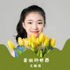 About 美丽的世界 Song