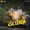 About Nenapina Payana Song