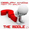 The Riddle (Timster Remix Edit)