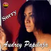About Sorry Song