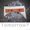 About Tomorrow Song