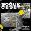 About Soğuk Ceset Song