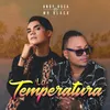 About La Temperatura Song