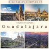About Guadalajara Song