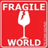 About Fragile World Song