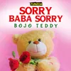 About Sorry Baba Sorry Male Version Song