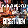 About Street View Song