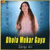 About Dhola Mukar Gaya Song