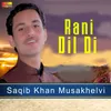 About Rani Dil Di Song