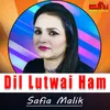 About Dil Lutwai Ham Song