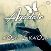 Now I Know (D.Mand Remix Edit)